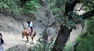 Riding to Taktshang - Day Tours