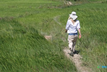 Central Bhutan Village Walk