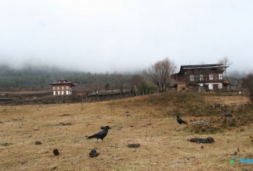 Phobjikha