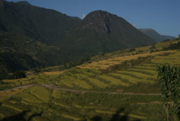 Radhi | BhutanVisit