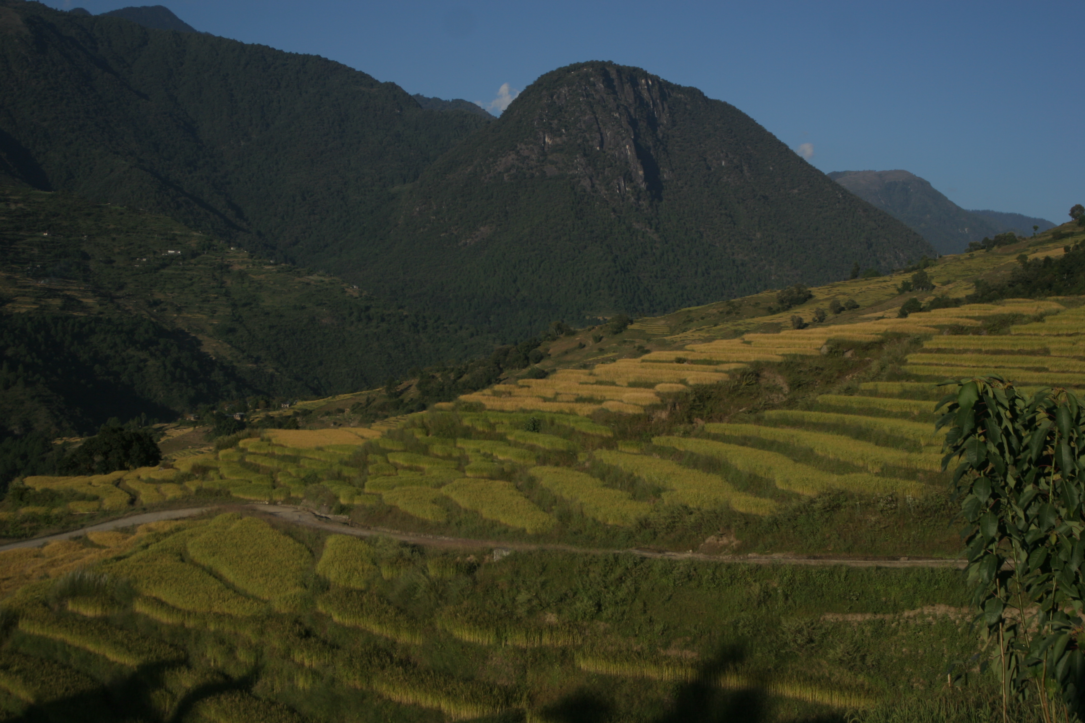 Radhi | BhutanVisit